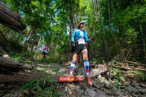 BIB: 
                            <button type="button" onclick="openModal(19389670)" class="btn btn-primary btn-sm float-right btn-popup" data-toggle="modal" data-target=".modal-high-quality">
                        <i class="fas fa-shopping-cart"></i> Add to Cart
                    </button>
                                            <button type="button" onclick="isThisMe(19389670, true)" class="btn btn-success btn-sm float-right btn-popup btn-isme hidden" data-toggle="tooltip" data-placement="bottom" title="นี่คือรูปของคุณใช่ไหม คลิกที่นี่เพื่อเอาเข้าอัลบั้ม">
                        <i class="fas fa-plus"></i> Add to album
                    </button>
                    <button type="button" onclick="isThisMe(19389670, false)" class="btn btn-warning btn-sm float-right btn-popup btn-isnotme hidden">
                        <i class="fas fa-ban"></i> Remove from album
                    </button>